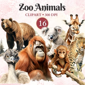Zoo Tiere Clipart, Zoo, Safari Clipart, Giraffe Silhouette, Affe Png, Elefant Png, Leopard, Safari Tiere