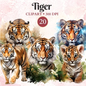 Imágenes Prediseñadas de tigre, tigre acuarela, imágenes prediseñadas de animales de la selva, bosque, depredador png, bosque png, gráficos de la selva, libro de chatarra