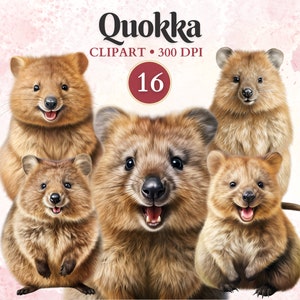 Quokka-clipart, wilde dieren, Quokka Art afdrukbare, dieren in het wild clipart, Australische dieren, bos png, schrootboek