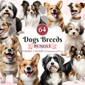 Paquete de imágenes prediseñadas de razas de perros, Corgi galés, Papillon, Jack Russell Terrier, perro habanero, imágenes prediseñadas caninas