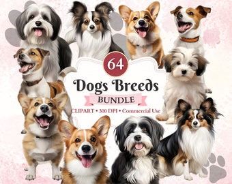 Dogs Breeds Clipart Bundle, Welsh Corgi, Papillon, Jack Russell Terrier, Havanese Dog, Canine Clipart