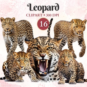 Imágenes Prediseñadas de leopardo, silueta de leopardo, imágenes prediseñadas de manchas de animales, vida silvestre, Depredador Png, animales del bosque, libro de chatarra