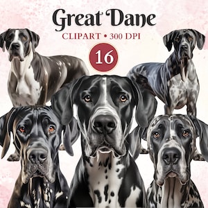 Imágenes Prediseñadas de gran danés, Vector de gran danés, imágenes prediseñadas caninas, imágenes prediseñadas de silueta de perro, gráficos de mascotas, arte vectorial de perros, libro de chatarra