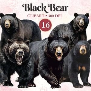 Imágenes Prediseñadas de oso negro, animales salvajes, oso negro Png, imágenes prediseñadas de vida silvestre, bosque Png, animales del bosque, libro de chatarra