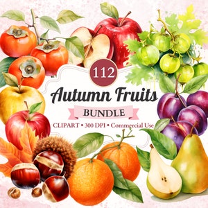 Pacchetto di frutti autunnali, Set, Castagna, Raccolta delle mele, Pera Png, Illustrazione di prugna, Clementina, Foglia autunnale, Uso commerciale