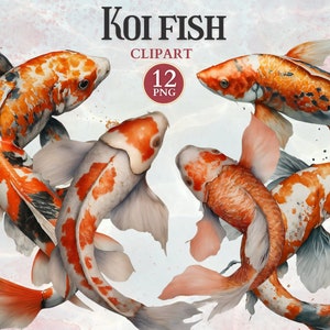 Koi Fisch Clipart, Japanischer Koi Fisch, Japanischer Koi, Angeln Clipart, Kulturelle Symbole, Kulturelle Kunst, Asiatische Designs, Scarp-Buchung