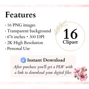 May include: A digital clipart set featuring 16 images of floral designs. The images are 6 inches by 6 inches and have a transparent background. The clipart is high resolution and perfect for personal use.  The text "16 Clipart" is displayed in a gold circle with a floral design.