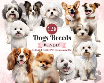 Dogs Breeds Clipart Bundle, Corgi, Papillon, Jack Russell, Havanese, Pomeranian, Maltese, Bichon Frise, Cavalier Spaniel