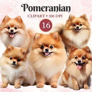 Imágenes Prediseñadas de Pomerania, Pomerania lindo, gráficos de mascotas, arte vectorial de perros, gráficos de animales, imágenes prediseñadas de perros pequeños, libro de recortes