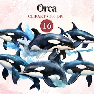 Orca Clipart, Orca Clipart, Orca Png, Polo Norte, Animales Árticos, Invierno, Animales del Océano, Vida Silvestre, Libro de Chatarra
