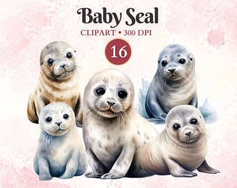 Imágenes Prediseñadas de foca bebé, vida marina, océano, animales árticos, animales de invierno, decoración de revelación de género, invitación de cumpleaños
