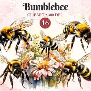 Könnte beinhalten: Vier Aquarell-Illustrationen von Hummeln mit schwarzen und gelben Streifen, flauschigem Körper und durchsichtigen Flügeln. Die Bienen fliegen in der Nähe von rosa und weißen Blüten mit grünen Blättern.