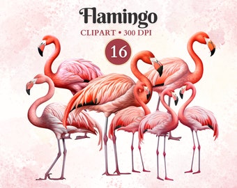 Flamingo Clipart, Tropical Bird, Pink, Flamingo Silhouette, Bird Clipart, Jungle Clip Art, Exotic Animal, Zoo Animal Png