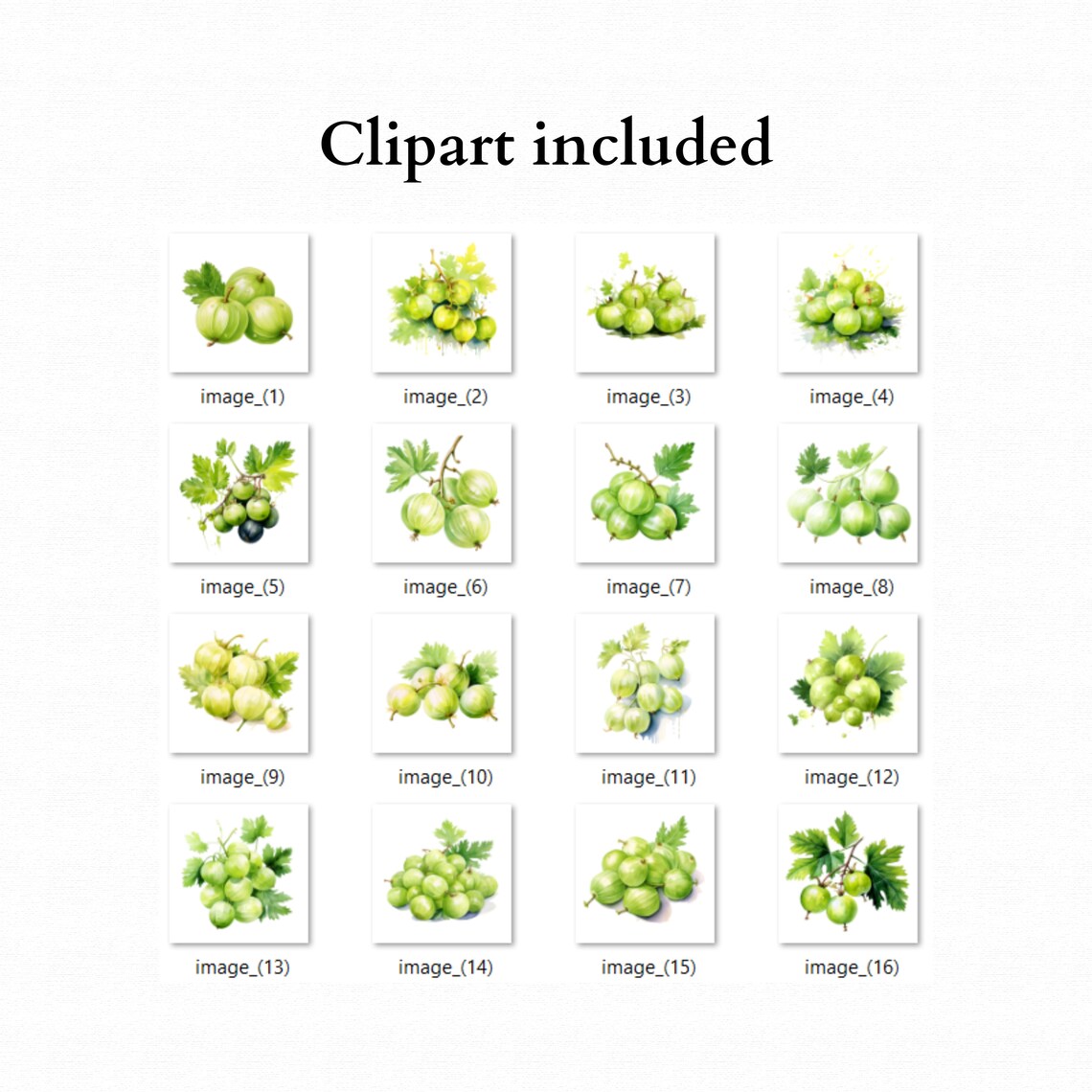 Gooseberry Design Gooseberry Clipart, Gooseberry Design, Watercolor Berry, Agriculture ...