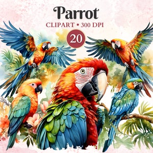Clipart perroquet, perroquet png, aquarelle, clipart animaux de la jungle, forêt, animal de la forêt, safari dans la jungle png, vecteur animal