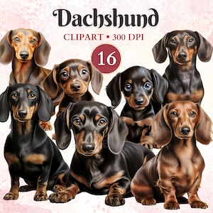 Dachshund Clipart, Dachshund Png, Gráficos de mascotas, Arte vectorial de perros, Gráficos de animales, Imágenes prediseñadas de perros pequeños, Libro de recortes