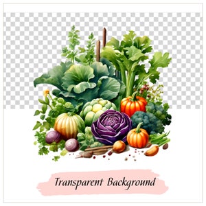Puede incluir: Una ilustraci&oacute;n de acuarela de una variedad de verduras frescas, incluyendo col, coliflor, br&oacute;coli, cebollas, calabazas y hierbas. Las verduras est&aacute;n dispuestas en una pila, como si hubieran sido reci&eacute;n cosechadas de un jard&iacute;n.