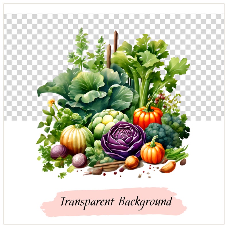 Puede incluir: Una ilustraci&oacute;n de acuarela de una variedad de verduras frescas, incluyendo col, coliflor, br&oacute;coli, cebollas, calabazas y hierbas. Las verduras est&aacute;n dispuestas en una pila, como si hubieran sido reci&eacute;n cosechadas de un jard&iacute;n.