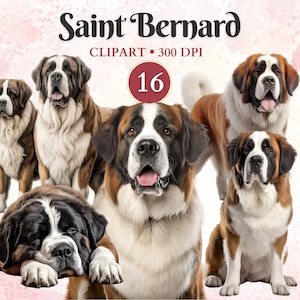 Imágenes Prediseñadas de San Bernardo, Vector de San Bernardo, Gráficos de mascotas, Arte vectorial de mascotas, Raza de perro grande, Imágenes Prediseñadas caninas, Libro de chatarra