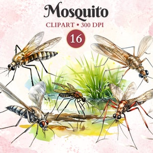 Mosquito Clipart, Mosquito Png, Insecto Clipart, Silueta, Entomología, Vector Animal, Naturaleza, Ilustración Científica