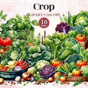 Clipart De Colheita, Jardim Secreto, Estética Aconchegante, Desenhos De Jardinagem, Agricultura Png, Horticultura Clipart