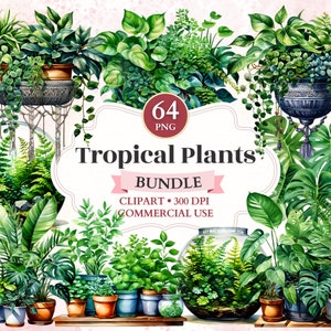 Tropische Pflanzen Clipart Bundle, Gartenentwürfe, hängende Pflanzer, Topfpflanzen, Farn Zeichnung, Monstera Schneiden