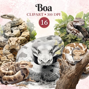 Boa Clipart, Boa Png, Schlange Clipart, Schlange Png, Schlange Silhouette, Reptilien Clipart, Tiervektor, Herpetologie