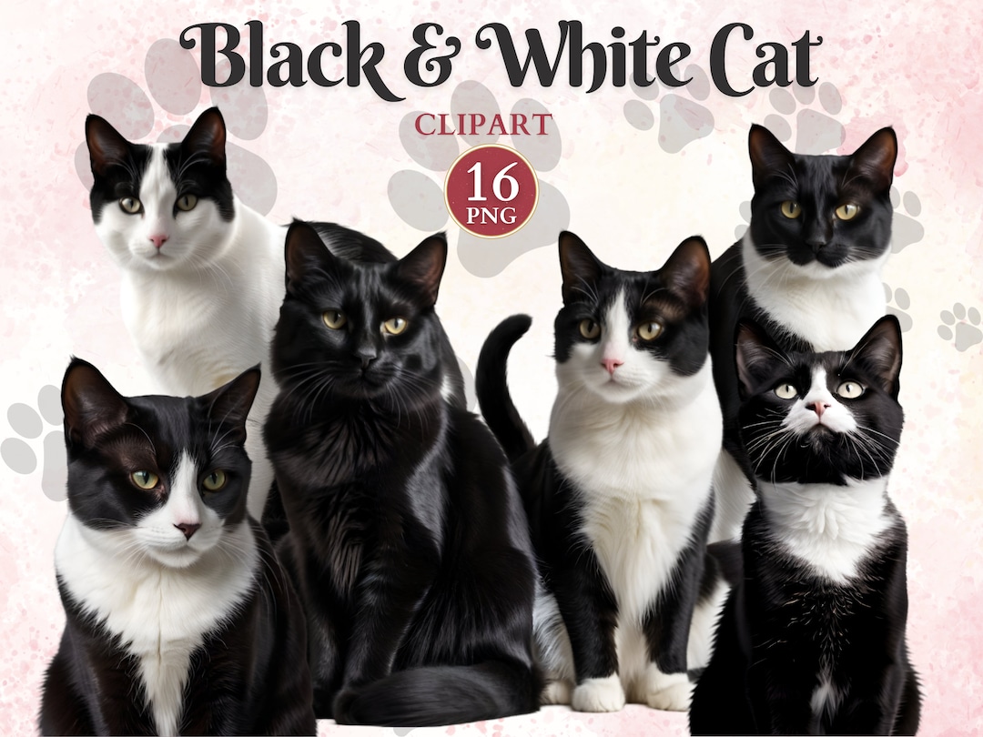 Black and White Cat Clipart, Domestic Animal, Cute Cat Drawing, Feline ...