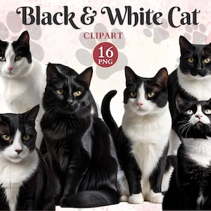Imágenes prediseñadas de gato blanco y negro, animal doméstico, dibujo de gato lindo, imágenes prediseñadas felinas, arte vectorial de mascotas, imágenes prediseñadas de gatito lindo
