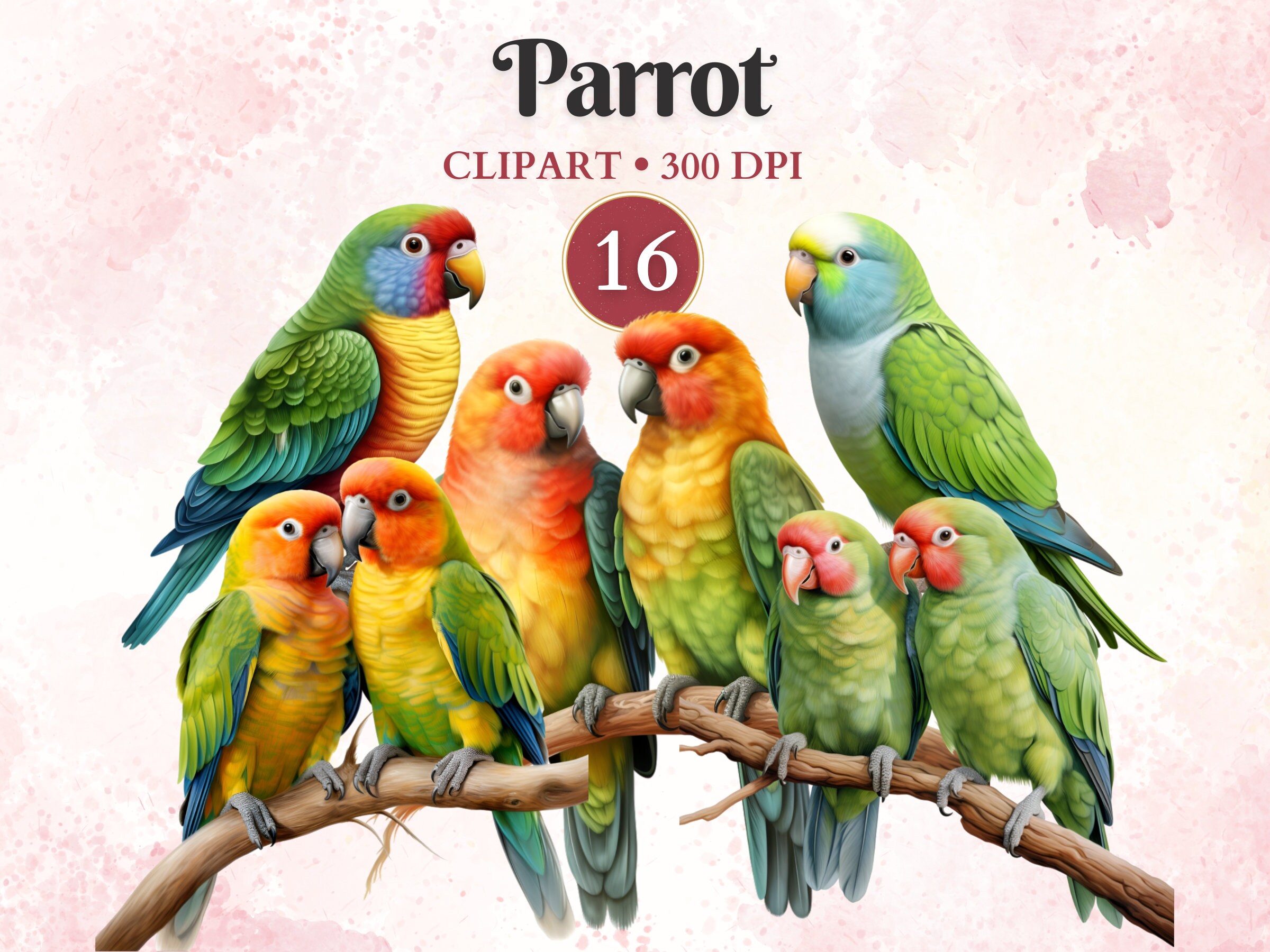 Parrot Clipart, Parakeet Clip Art, Parrot Vector, Bird Png, Lovebird, Lovebird Vector, Pet Clipart, Animal Graphics