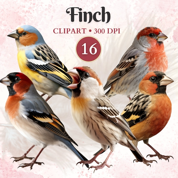 Finch Clipart, Finch, Bird Clipart, Bird Png, Domestic Animals, Vector Animal Designs, Pet Graphics, Scrap Book