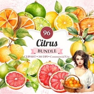 Citrus clipartbundel, set, citroen clipart, sinaasappeltakken, limoen png, grapefruit, aquarel citrus, commercieel gebruik