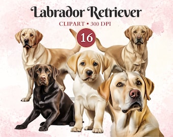 Labrador Retriever Clipart, Dog Silhouette Clip Art, Pet Graphics, Black Labrador Clipart, Chocolate Lab, Dog Vector