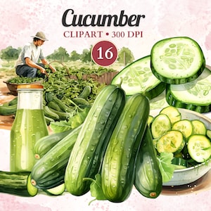 Clipart concombre, Aquarelle, Légumes PNG, Alimentation saine, Veggie, Végétalien, Salade, Végétarien, Jardin, Ferme, Agriculture