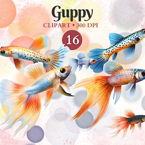 グッピー クリップアート、魚 PNG、魚 デジタル クリップアート、水族館、ベクター グラフィックス、家畜、水生動物