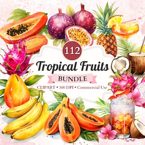 Topic Fruits Bundle, Set, Papaya, Ananas, Kokosnuss, tropisches Aroma, exotische Früchte Png, Sommer Vibes, kommerzielle Nutzung