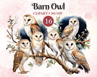 Barn Owl Clipart, Wild Animals, Owl Vector Files, Wildlife Clipart, Woodland Animals, Forest Png, Scrap Book