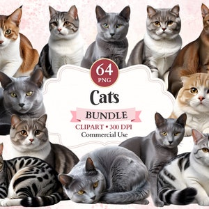 Bundle de cliparts chats, animaux domestiques, Abyssin, Scottish Fold Png, bleu russe, American Shorthair, graphismes pour animaux de compagnie