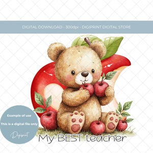Meu melhor agradecimento ao professor, ursinho de pelúcia da Apple, PNG digital, Urso de pelúcia de formatura, PNG, Professor, obrigado, clipart de ursinho de pelúcia da Apple, imagem de fim de aula