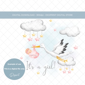 Nieuwe baby meisje aquarel ooievaar die sublimatie PNG levert, Nieuw baby meisje kaart ontwerp, Nieuwe baby overdracht digitale print, kinderdagverblijf aandenken PNG