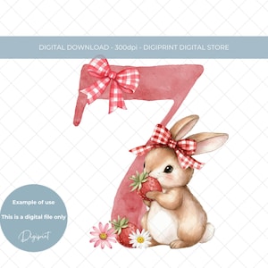 Aardbei konijntje meisje 7e verjaardag digitale PNG-clipart Baby zevende verjaardag nummer 7 aardbei afbeelding, babymeisje 7e verjaardag kaart ontwerp