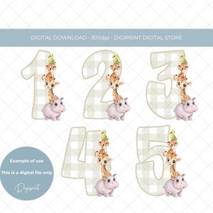 Set di numeri di compleanno della giungla, numeri di compleanno per bambini da 1 a 5, grafica PNG digitale, clipart di numeri di compleanno della giungla, numeri di animali della giungla PNG