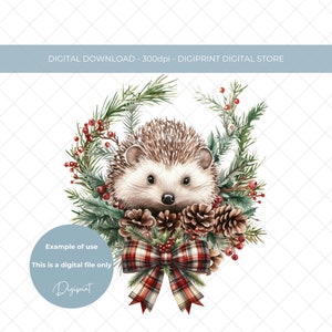 Arquivo gráfico digital de guirlanda de ouriço de Natal, imagem de vida selvagem de Natal para impressão PNG, imagem de guirlanda de Natal de ouriço com arco para impressão