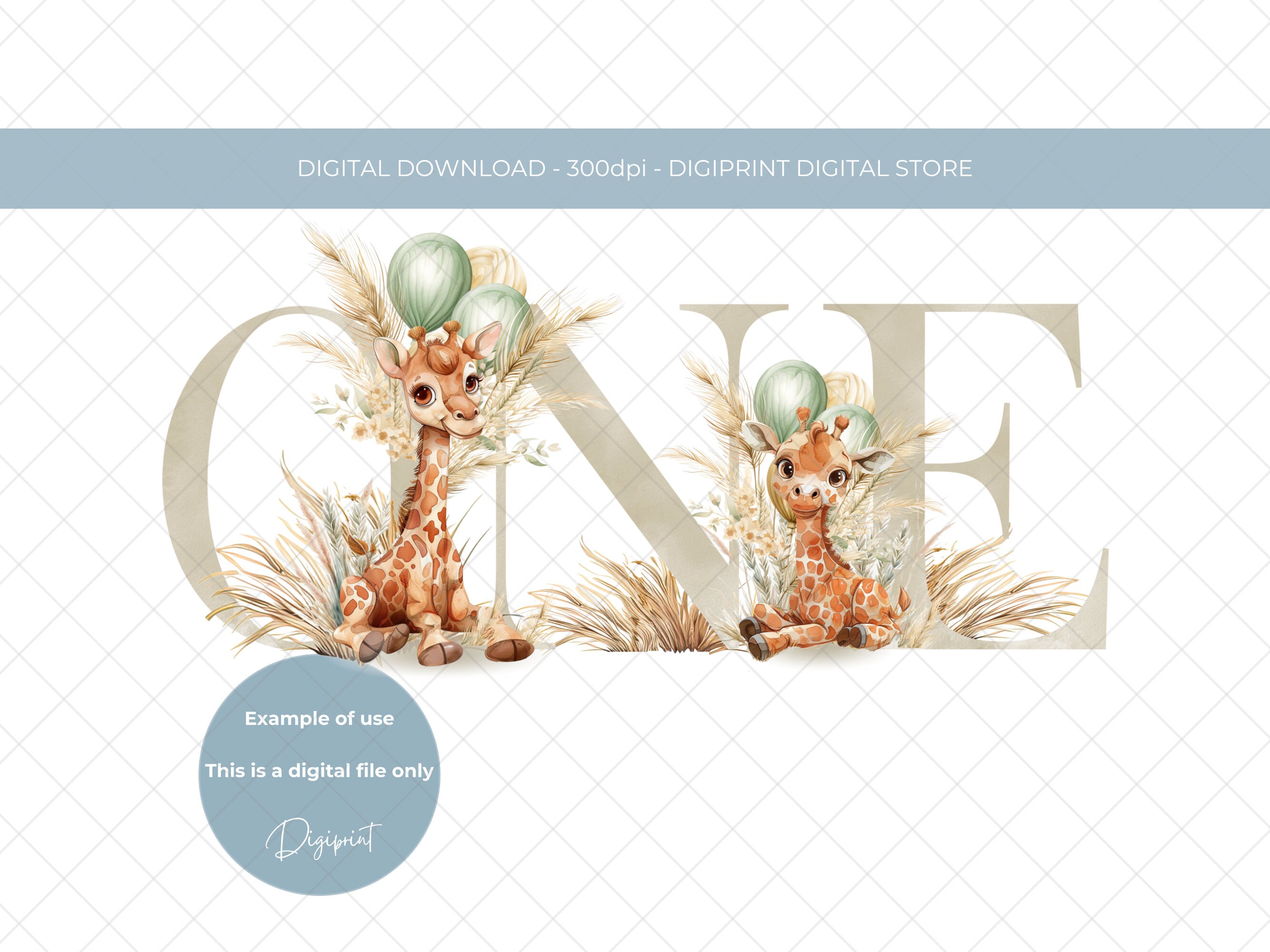 Babies first birthday number one 1st birthday image boho pampas grass sublimation PNG clipart digital baby giraffe child 1st birthday image