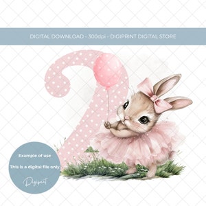 Baby zweiter Geburtstag Ballerina Hase Nummer 2 Geburtstag Sublimation PNG Clipart digitaler Download Baby Hase 2 Geburtstag digitales Bild