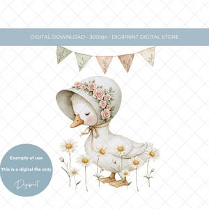 Joli silly goose numérique cottagecore PNG clipart, silly goose enfant anniversaire sublimation image artisanat, silly goose party clipart