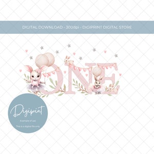 Babys erster Geburtstag Nummer eins 1. Geburtstag Bild, ersten Geburtstag Sublimation PNG Clipart digitaler Download, Baby Hase 1. Geburtstag Bild