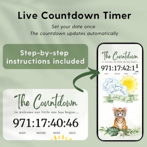 Editable Animated Canva Website Template for Safari Baby Shower Invitation