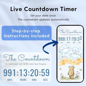 Winnie the Pooh Baby Shower Website Invite with RSVP, Classic Pooh Baby Boy Mobile Invitation, Editable Canva Template