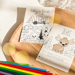 Baby Shower ABC Book
